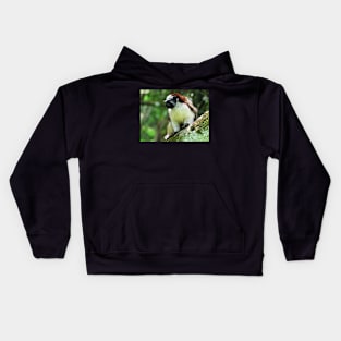 White Chested Monkey Perching in Tree Kids Hoodie